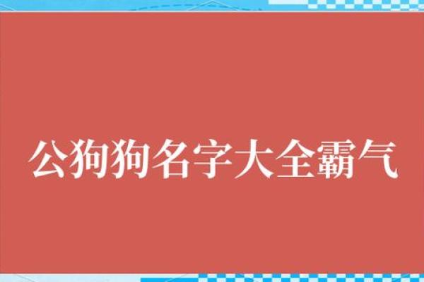 狗宝宝起名技巧：如何为你的爱犬取个既有意义又好听的名字