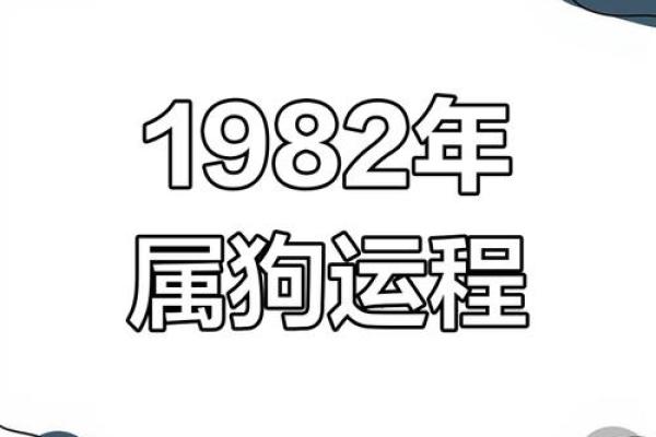 属狗人运程起伏与应对策略