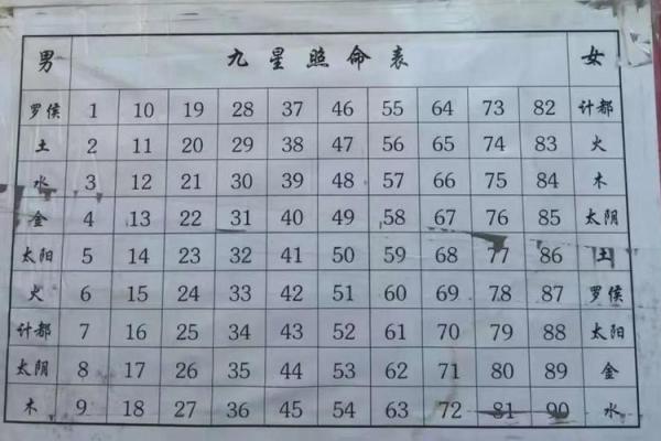 快速掌握生辰八字换算器的使用技巧